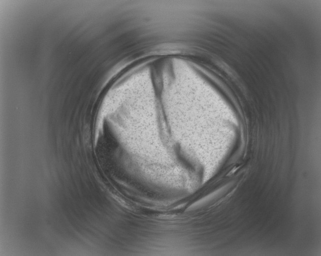 X0000080791465200701122135