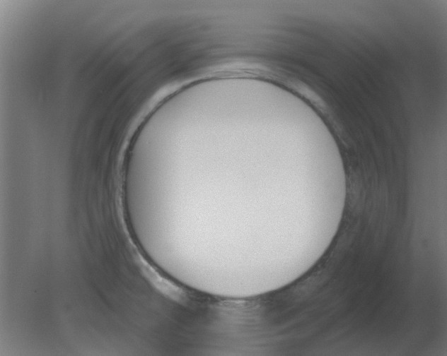 X0000080791478200701122135