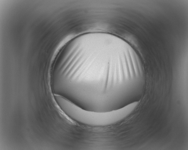 X0000080791480200701122135