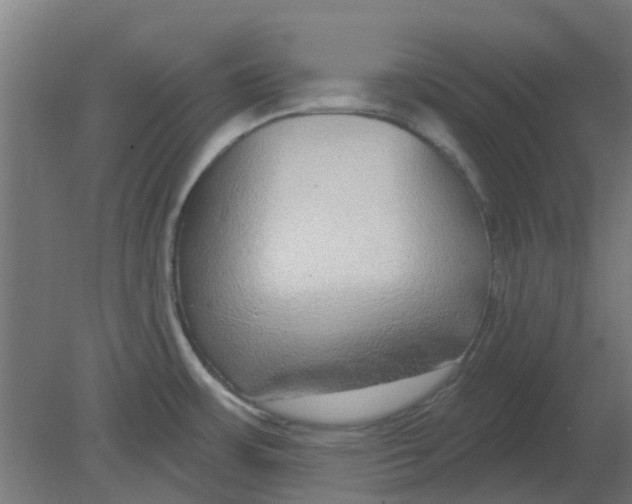 X0000080791483200701122135