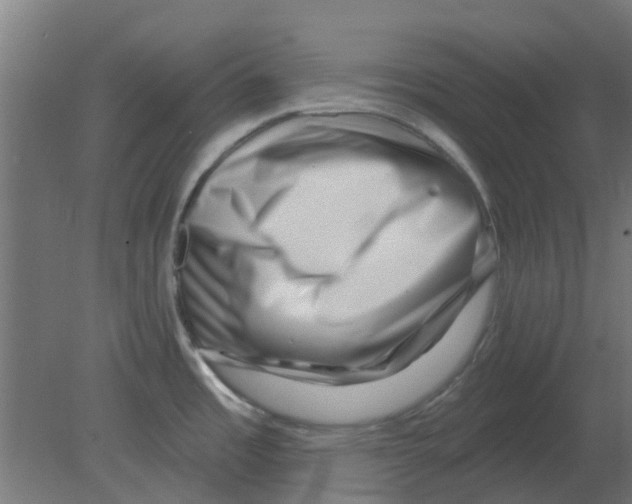 X0000080791485200701122135