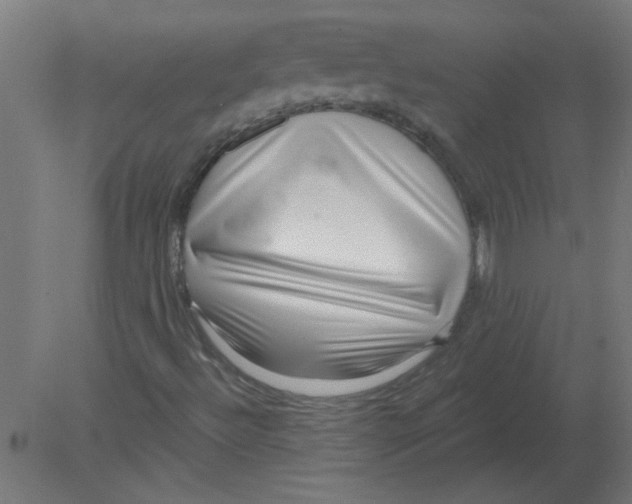 X0000080791492200701122134