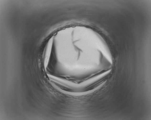 X0000080791496200701122134