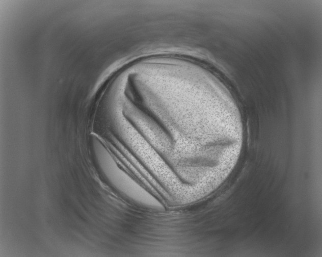 X0000080791501200701122134