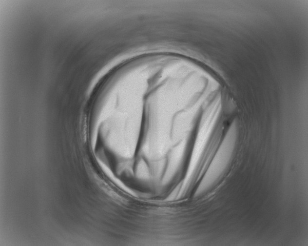 X0000080791510200701122134