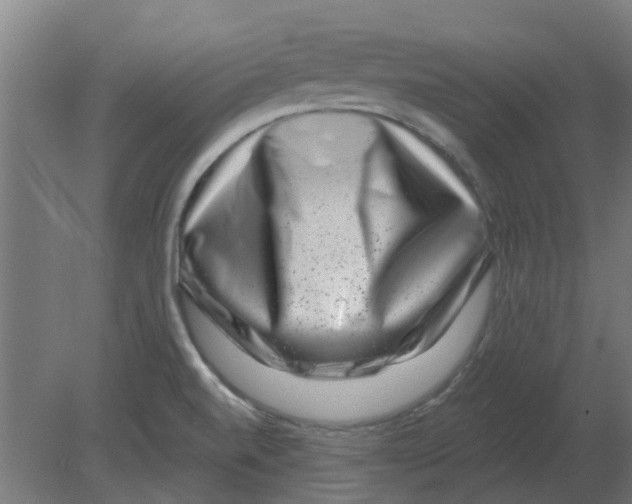X0000080791520200701122134