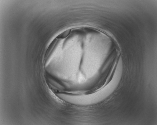 X0000080791524200701122134