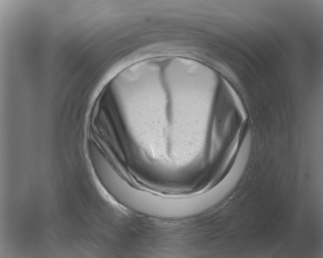 X0000080791528200701122134
