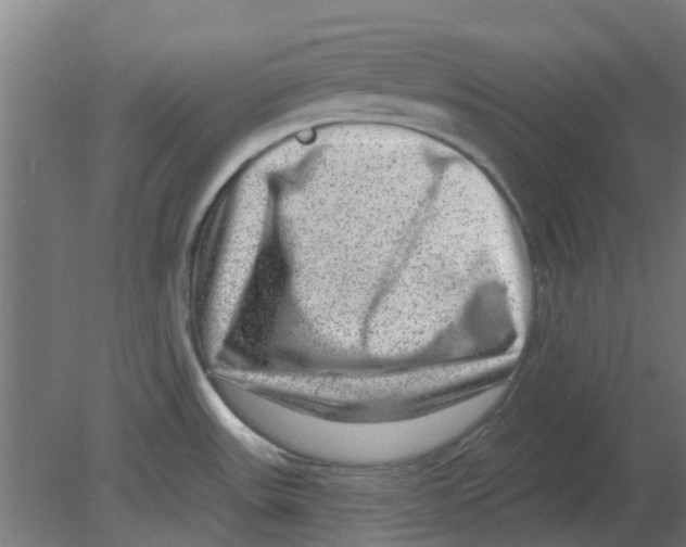 X0000080791531200701122134