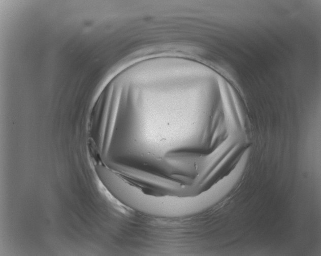 X0000080791532200701122134