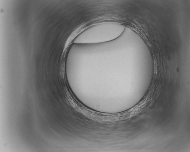 X0000080800004200612151044