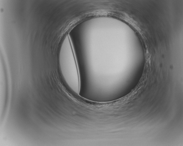 X0000080800013200612151044
