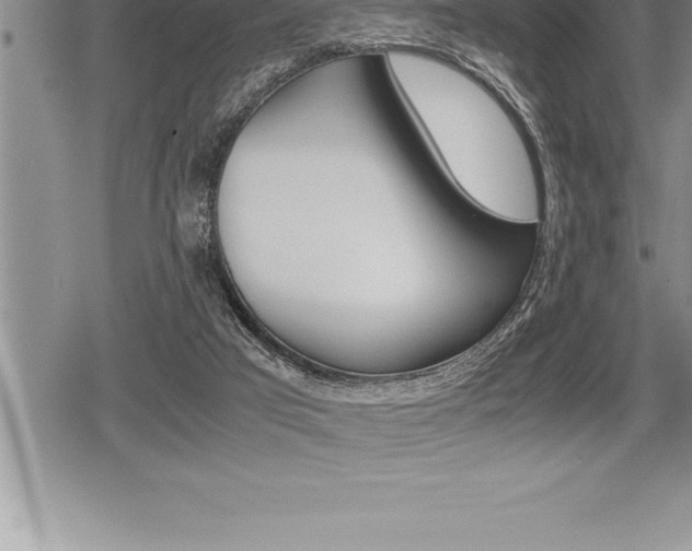 X0000080800017200612151044