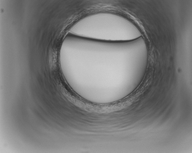 X0000080800018200612151044