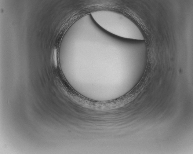 X0000080800022200612151044