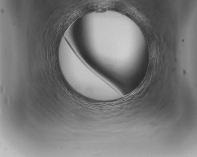 X0000080800025200612151044