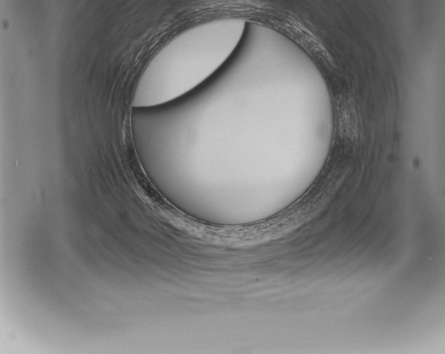 X0000080800026200612151044