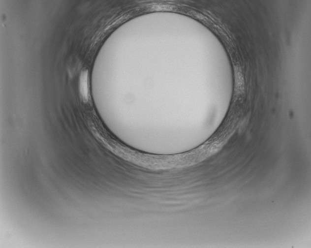 X0000080800028200612151044