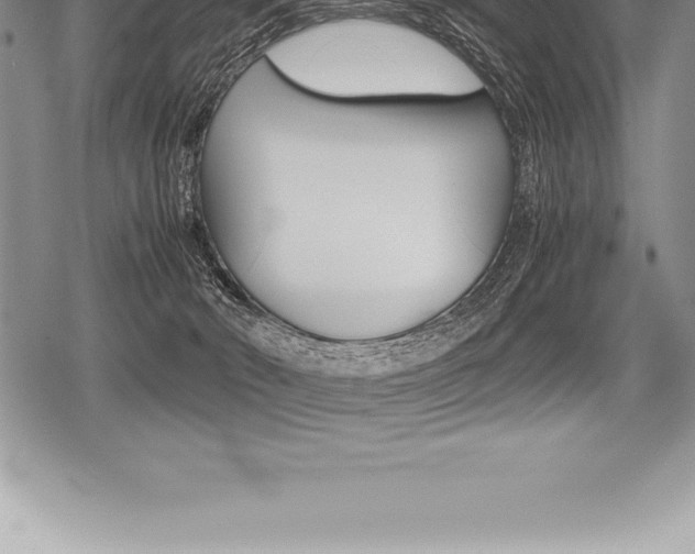X0000080800030200612151044