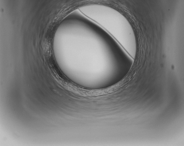 X0000080800031200612151044