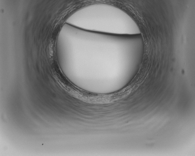 X0000080800032200612151044