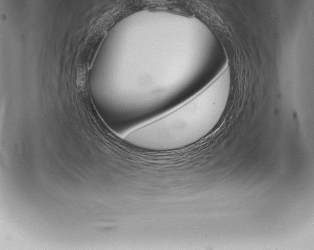 X0000080800033200612151044