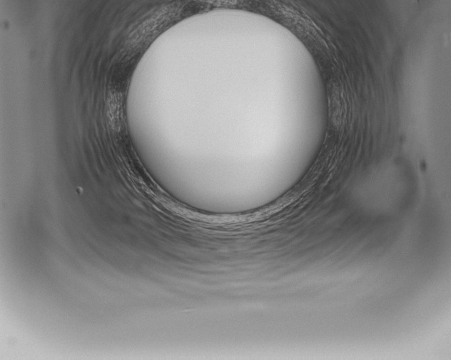 X0000080800034200612151044