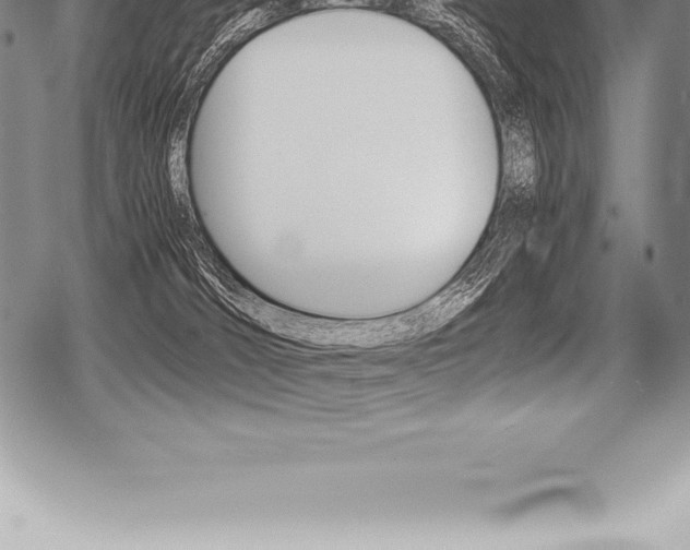 X0000080800036200612151044