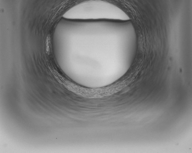 X0000080800038200612151043