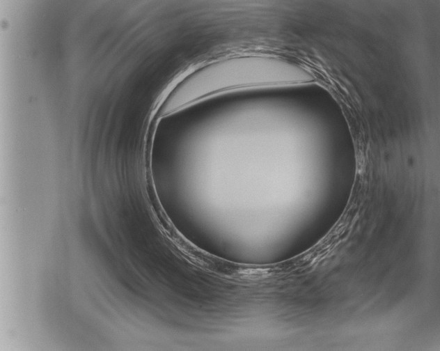 X0000080800052200612151043