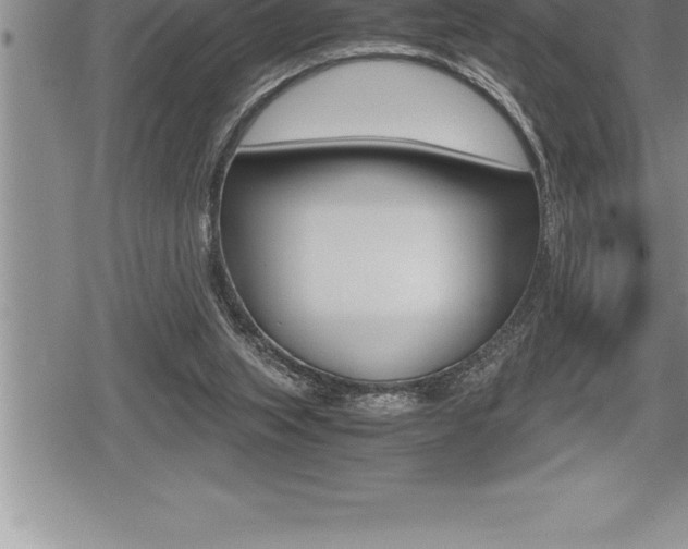 X0000080800063200612151043