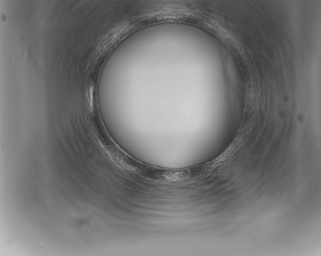 X0000080800070200612151043