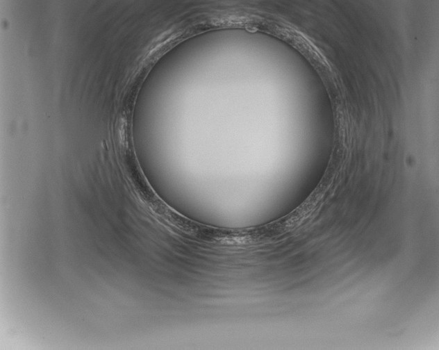 X0000080800071200612151043