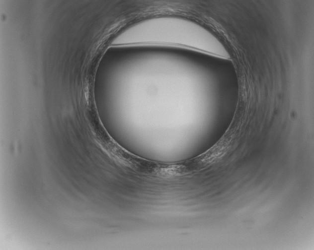 X0000080800072200612151043