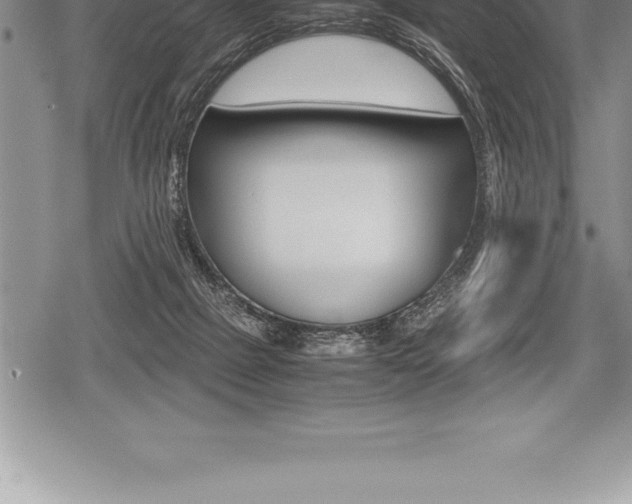 X0000080800073200612151043