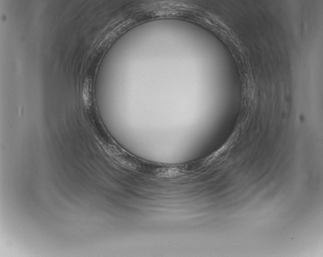 X0000080800074200612151043