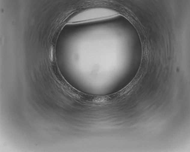 X0000080800076200612151043