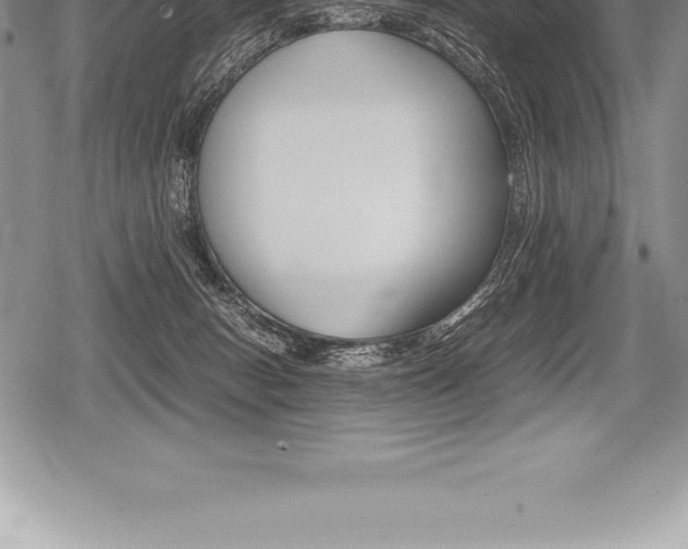 X0000080800078200612151043