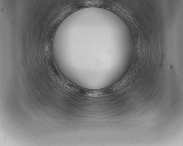 X0000080800079200612151043