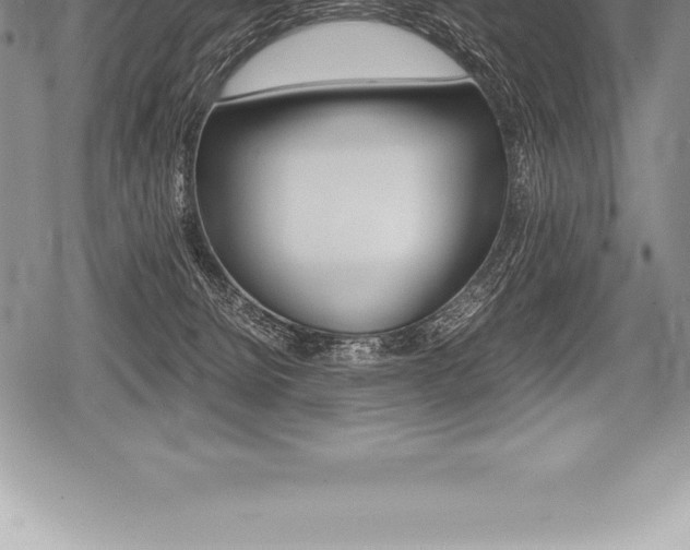 X0000080800080200612151043