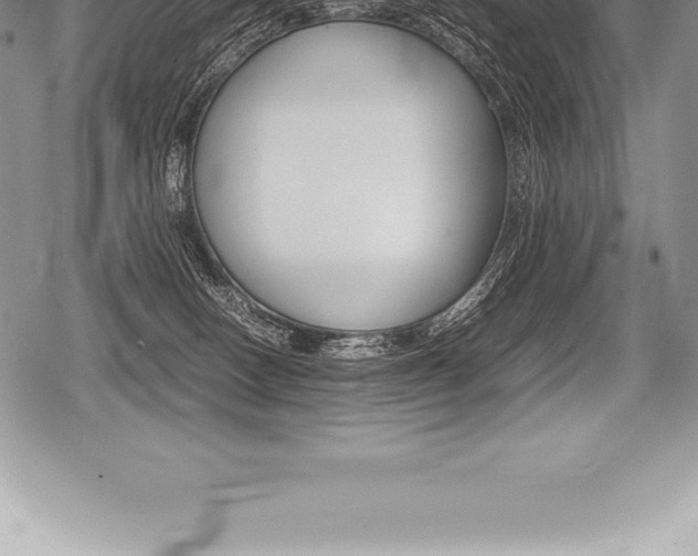 X0000080800082200612151043
