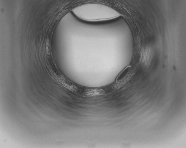 X0000080800083200612151043
