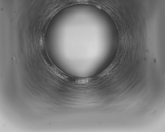 X0000080800084200612151043