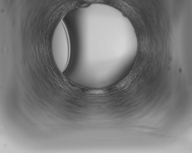X0000080800085200612151043