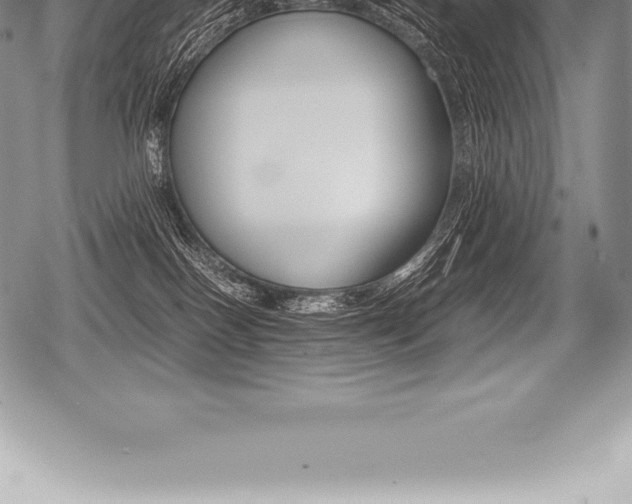 X0000080800086200612151043