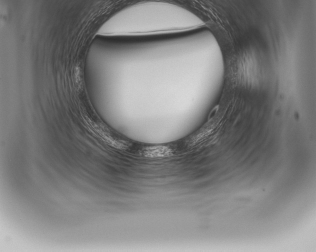X0000080800087200612151043