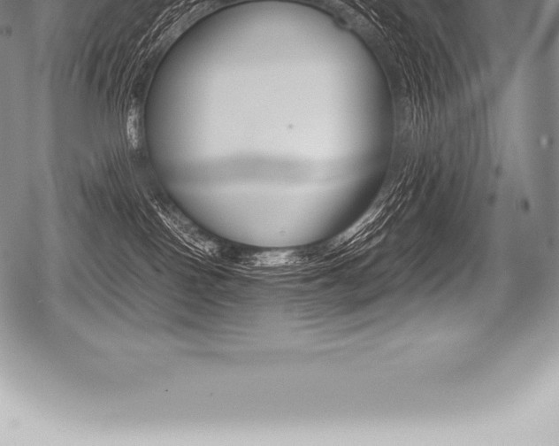 X0000080800090200612151043