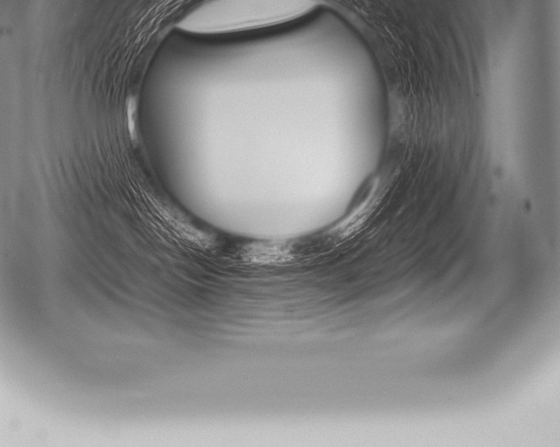 X0000080800094200612151043