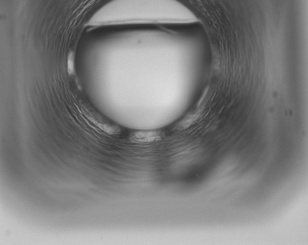 X0000080800095200612151043