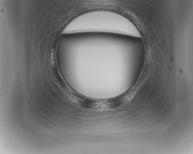 X0000080800121200612151042
